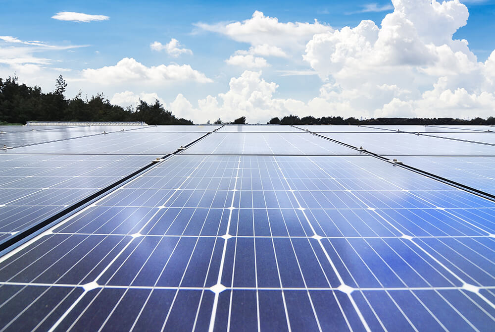Reaching Net Zero Through Low-carbon Transition