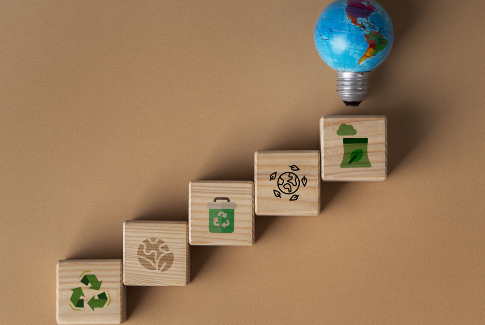 Fulfilling Sustainable Growth with Organizational Knowledge Programs