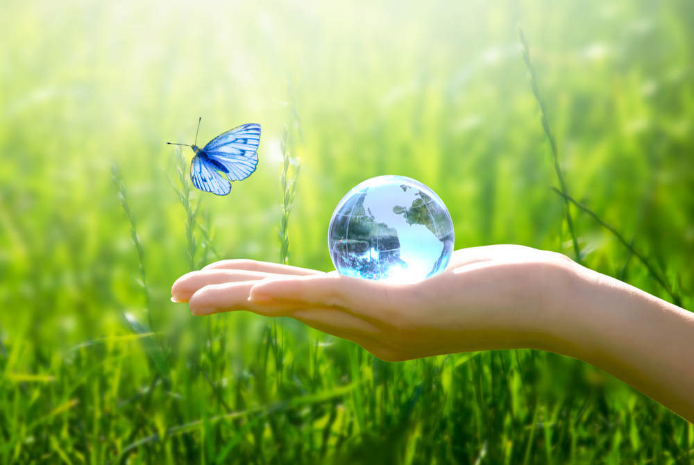 Development of 62% Bio-Based Nylon 6,10 Fibers